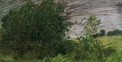 Peinture sur Toile Wilhelm Busch Landschaft Toile d'art Premium 60x90