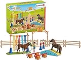 Das Agility-Training fördert das Vertrauen und die Trittsicherheit von Ponys
