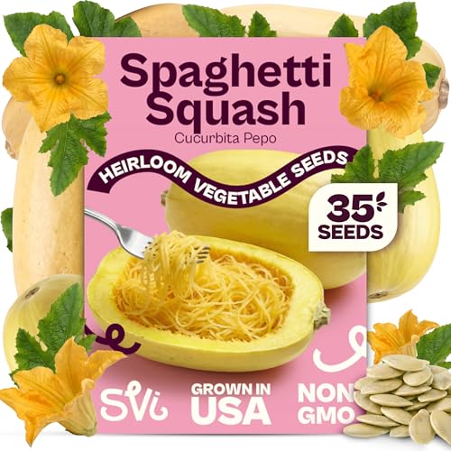 SVI 35 Winter Spaghetti Squash Seeds (Cucurbita Pepo) – Yellow