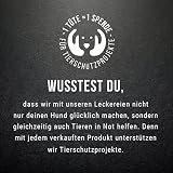 Tales & Tails® - Hunde Leckerlis aus 100% isländischem Lachs | Natürlich, Zuckerfrei, Getreidefrei, reich an Omega 3 | Kausnack Icebarks „Lachs doch mal“ von | 5 x 70g Tüten Hundesnack
