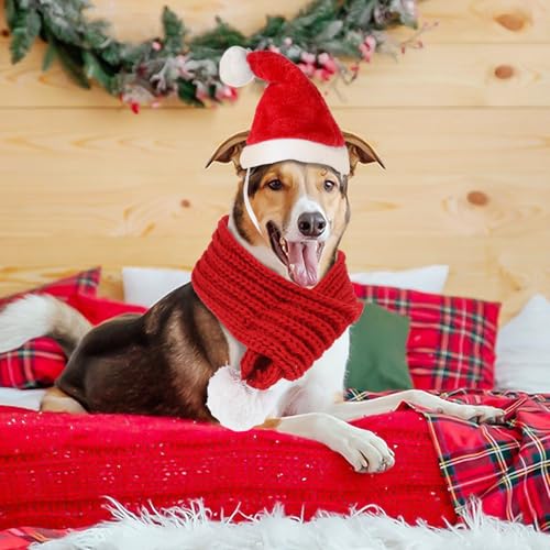 Gorro y Bufanda de Santa para Perros y Gatos L miniatura 6
