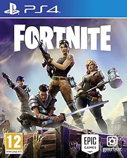 Fortnite (PS4)