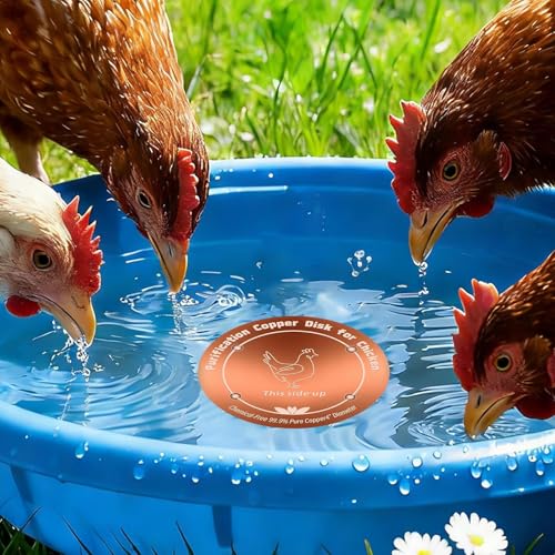 Bird Bath Copper Disk - Cleaning Plate | Disk with Rust Prevention, Tarnish Control for Garden, Patio, Outdoor Lawn Fountain, Poultry Farm, Livestock Chicken Coop, Maintenance for Water Hygiene - Image 8
