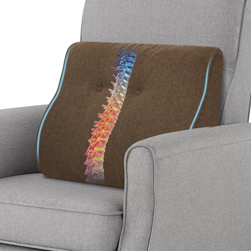 Baibu Lumbar Support Pillow for Recliner & Chair