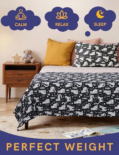 Image of YnM Weighted Blanket Kids(41 inchx60 inch 7lbs) Washable Soft Heavy Blanket Throw for All-Season Weighted Blanket for Sleeping,Throw Size Breathable Blanket with Premium Glass Bead(Cat)