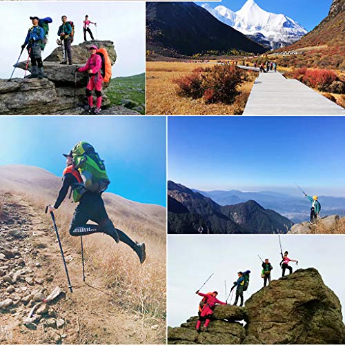 Foto von ADKINC 3-Fach Trekkingstöcke / -stöcke aus Aluminiumlegierung - zusammenklappbar, verstellbar und Ultraleicht - perfekt zum Wandern, Spazierengehen, Schneeschuhwandern - Gummigriff, EIN Paar