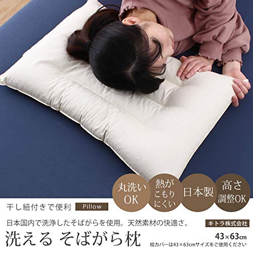 Amazon.co.jp: Washable Hard Buckwheat Pillow 17.9 x 24.8