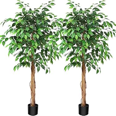 AMAZON - SOGUYI 5ft Ficus Artificial Trees with Realistic Leaves and Trunk, Silk Fake Ficus Tree with Plastic Nursery Pot, Faux Ficus Tree for Office Home Farmhouse for Indoor Outdoor Decor(Set of 2)