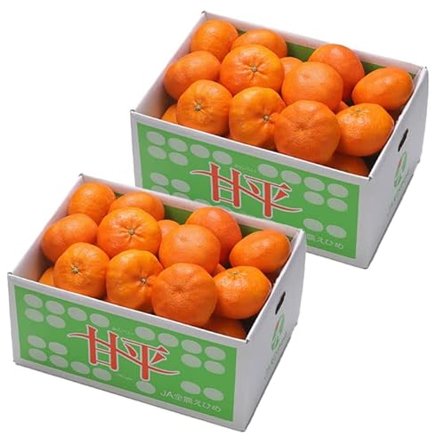 みかん 甘平 5Kg」の人気商品一覧 | 安い商品を通販サイトから探す