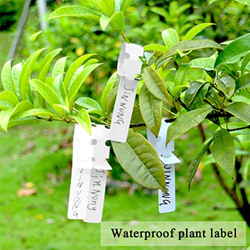 TIMESETL Grafting Tool Snoeischaar Kit,Enten Snijgereedschap Set Professionele Tuin Enten Snoeischaar Plant Tak Tak… - Afbeelding 7