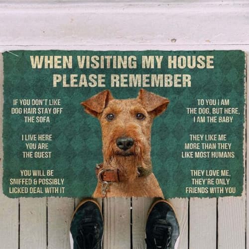 ���փ}�b�g ���̉Ƃ�K���ۂ́A���������ɏZ��ł��邱�Ƃ��v���o���Ă��������B���Ȃ��̓Q�X�g�ł��B 50×80cm doormat When Visiting My House Please Remember I Live Here You Are The