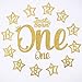 1st Birthday 12 months Photo Banner, Cake Topper, Highchair One Garland. Newborn to 1 Year old Monthly Milestone Picture, Baby Boy & Girl First Gold Decorations Party Supplies