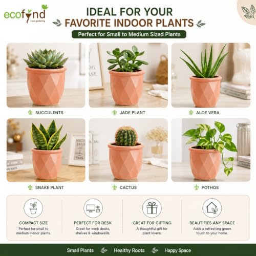 Image of ecofynd 4 Inch Ceramic Plant Pots with Drainage Hole, Modern Decorative Clay Flower Pots for Indoor Plants, Home Garden Decor for Living Room, Bedroom & Interior Spaces (Pack of 2, CPOT043-PNK)