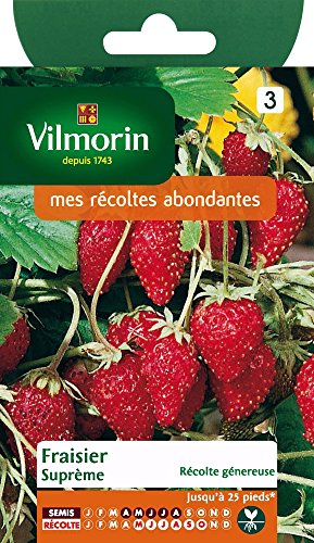 Vignette produit
