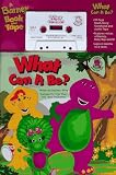 What Can It Be?: A Barney Book and Tape