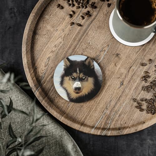 Sous-verre céramique husky de qualité premium avec support en liège - 3