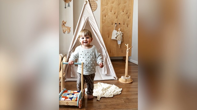 Speed Monkey Roly Poly Stacker Holzspielzeug - Stapelbare Ringe In Bunten Farben, FSC-zertifiziert & Ungiftig - Lernspielzeug Für Babys Ab 6 Monaten