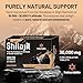 Lumarejebo Shilajit Tablets 30,000 mg, 100% Pure High Strength Himalayan Shilajit Tablets, Rich in 60% Fulvic Acid and 85+ Trace Minerals, Energy and Immune Support (60 Tablets) Lumarejebo Shilajit Tablets 30,000 mg, 100% Pure High Strength Himalayan Shilajit Tablets, Rich in 60% Fulvic Acid and 85+ Trace Minerals, Energy and Immune Support (60 Tablets)