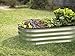 Galvanized Raised Garden Beds Outdoor // 4×2×1 ft Planter Raised Beds for Gardening, Vegetables, Flowers // Large Metal Garden Box (Silver)