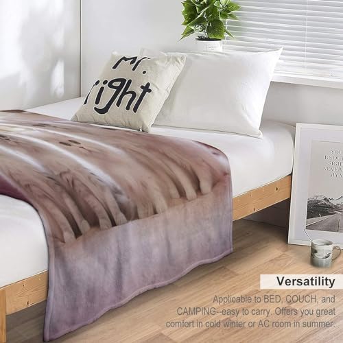 Couverture chat douce flannel pour sieste sur canapé douillet