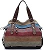FreeMaster Women's Canvas Multi-Color Hobos Shoulder Bag Tote Handbag (Multi-Color-A) #2