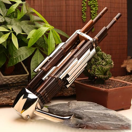 Sheng, Un Instrumento De Viento Tradicional Chino, Es Adecuado Para Principiantes En Clave De D, 14...