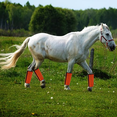 Image of 4 Pack Mesh Fly Boots for Horse Loose Breathable Horse Leggins Protective Horse Leg Wraps Protective Horse Leggings for Preventing Flies Bites (A)