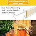 Bee Hive Starter Kit – Automatic Beehive Box Set for Easy Beekeeping, Complete Bee Hive Boxes for Beginners