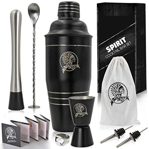 8-in-1 Bartender’s Kit: 24 Oz Stainless Steel Cocktail Shaker with Full Home