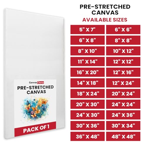 Image of Canvas Champ Pre Stretched Canvas for Painting 10 Oz - 100% Cotton, Pre-Primed Canvas with Wooden Frame (Pack of 1, 48 inch W x 48 inch H)