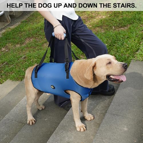 Coodeo Dog Lift Harness Practicalities