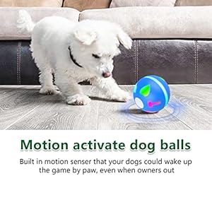Interactive dog toys wicked ball self moving motion activated ball   cucciolini doodles
