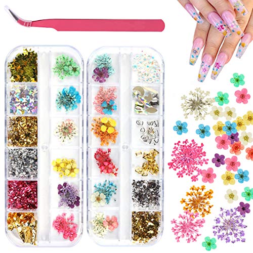 2 Boxes Dried Flowers Rhinestones for Nail Art, KISSBUTY 24 Colors Dry Flowers Mini Real Natural Flowers Holographic Nail Art Rhinestones Butterfly Nail Sequins Nail Foils Applique (Mixed Colors 2)