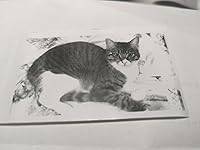 Review Image by D. A. Down D. A. Down