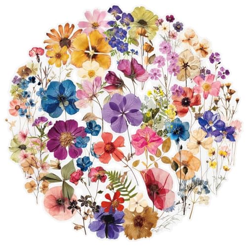 AYZDJ Lot de 100 autocollants floraux transparents en PET pour scrapbooking - Fleurs pressées naturelles - Esthétique pour journal, ordinateur portable,...