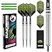 RED DRAGON Raider: 23g Set di Freccette in tungsteno con Punta in Acciaio Professionale - Verde - Scelta del Colore Disponibile