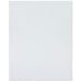 Darice Bulk Buy DIY #7 Mesh Plastic Canvas Ultra Stiff Clear 10-1/2 x 13-1/2 (6-Pack) 33418-1