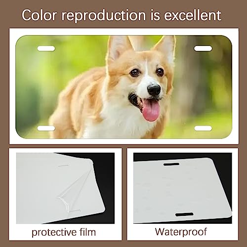 Opiniones de Placas para comprar hoy. 12 Imagen adicional