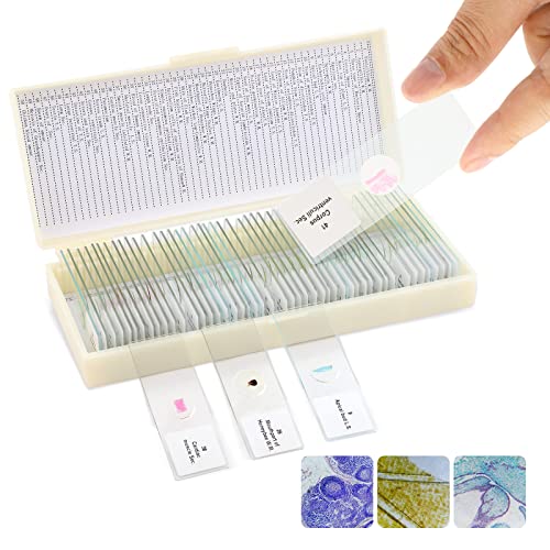 50Pcs Prepared Microscope Slides Animals Insects Plants Bacterial Sample Biological Slide Specimen for Kids Students Adults, for Science Study and Education