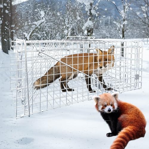 Large Live Cage Animal Trap for Fox,42.5\" X15 X17 Extra Large Animal Trap, Live Animal Traps cage for Raccoons Heavy Duty,Fox Traps for Trapping,Coyotes,Humane Catch & Release