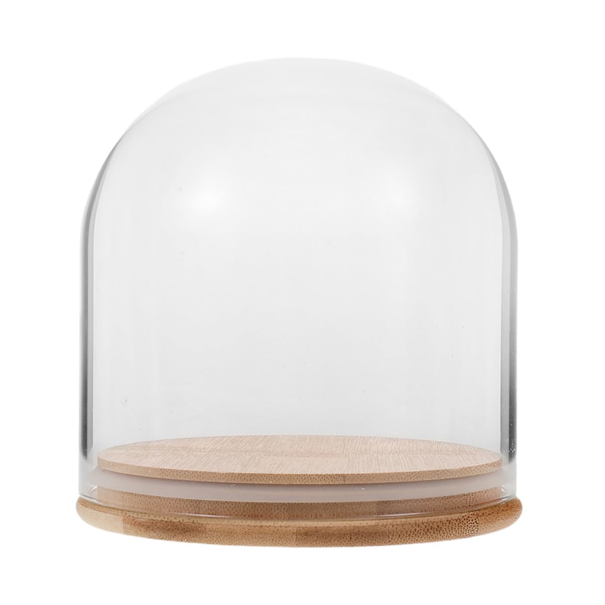Cloche en verre avec cloche cylindrique en forme de fleur éternelle 15 x 15 cm avec base en bambou pour décoration d'intérieur et vitrine d'objets de collection