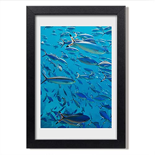 Cadre photo poisson de corail Tulup en bois MDF 20x30 cm pour affiche et tableau moderne