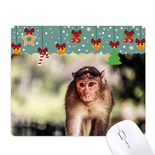 Tapis de souris singe en caoutchouc pour un bureau déco