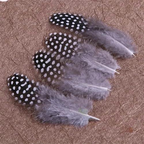 wejiay 20Pcs/Lot Natural Dot Dyed Guinea Hen Plumage Feathers for Crafts Pearl Spotted Pheasant Jewelry Making Plumas DIY-Natural