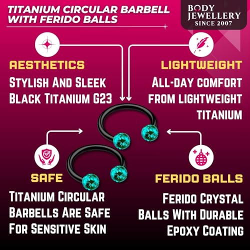 2pcs 16g Circular Barbell Black Titanium G23 Ear Helix Lip Eyebrow Tragus Nose Snake Septum Cartilage Bite Ring B2ICT3