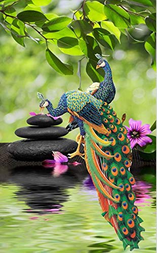 WallSkin Interior Non-Woven Washable 3D Wallpaper Size 5 x 5 (25 Sqft) PVC for Living Room Bedroom Commercial Space AWS Design-18