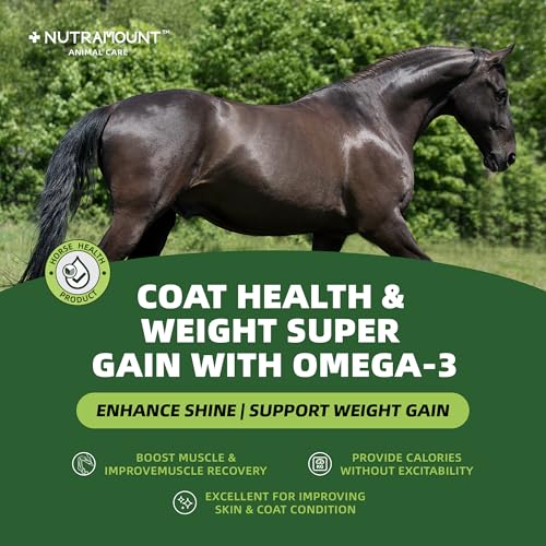 Horse Ground Flaxseed Feed, Natural High-Fat Flaxseed Meal for Horses, Coat Shine & Daily Feed Mix, Easy-to-Digest Horse Feed Ingredient – 1400g - Image 3