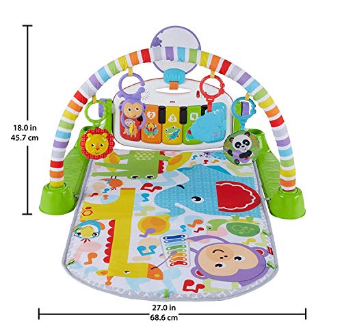 Fisher-Price-Deluxe-KnP-Gym-EN-FWT18