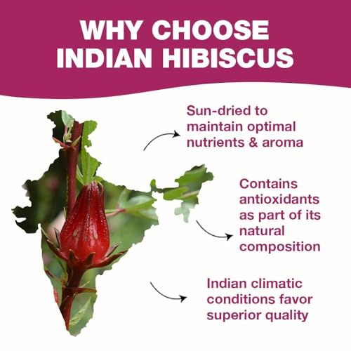 HANDPICK, Organic Hibiscus Tea Bags (100 Tea Bags) | Caffeine-Free, 100% Natural Pure Indian Hibiscus Flowers | Ayurvedic Benefits in every sip