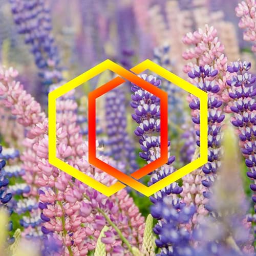 The Parish News #260